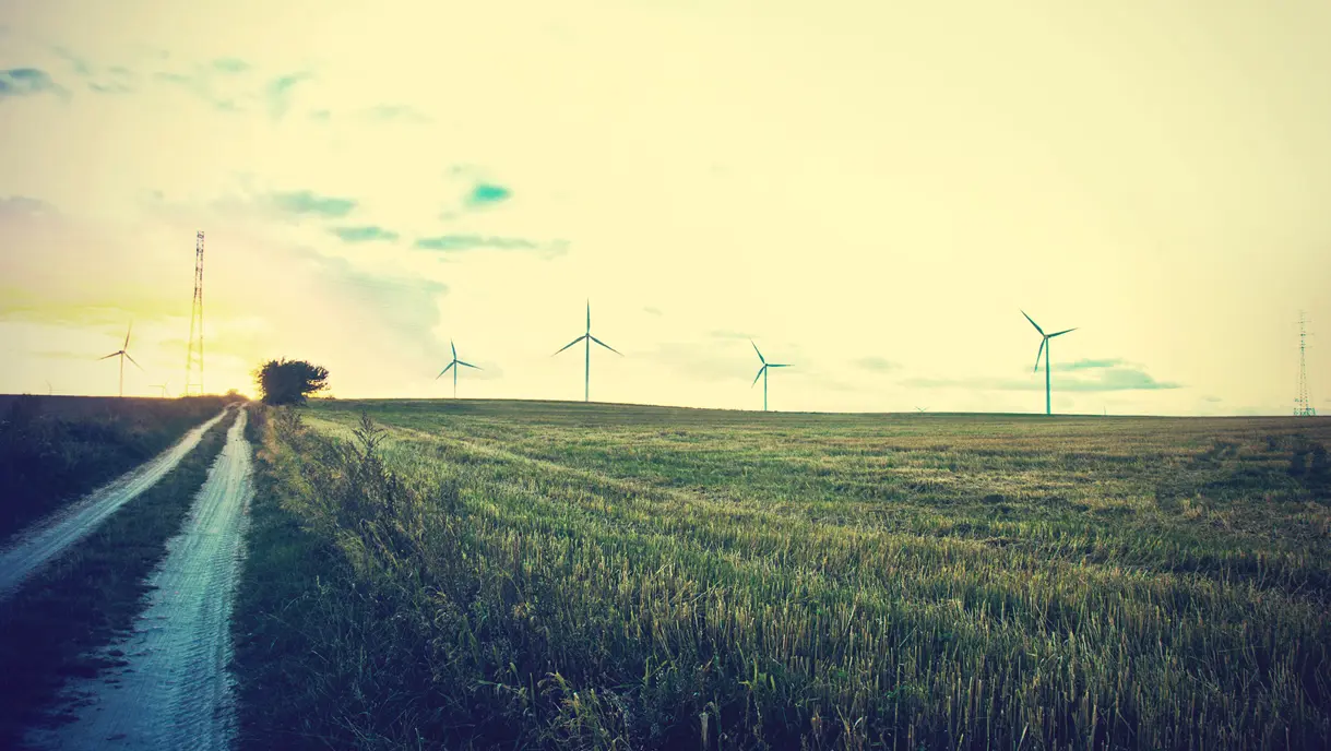 Transição verde e o futuro das ferroligas